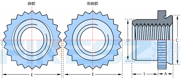 自鎖螺母